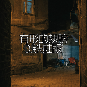 国产老头和老妇BBBBB毛片
